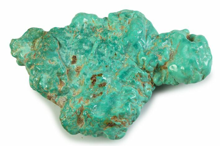 Polished Chilean Turquoise ( grams) Nugget #358823